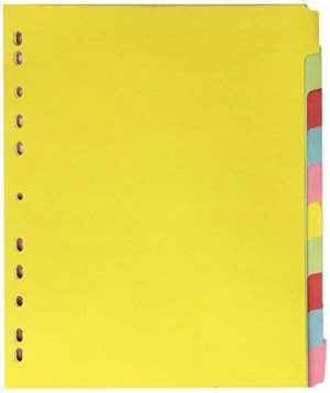 LION KARTON DIVIDER 10-TABS