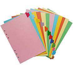 LION PVC DIVIDER 20 TAB COLOURS IDP1320P